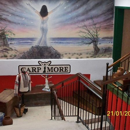 Hotel Carpymore Biograd Na Moru Exterior foto